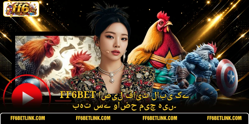 FF6BET اصیل فائٹ لابی کے بہت سے واضح میچ ہیں۔