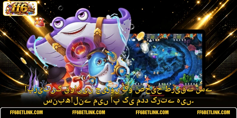 آپریٹنگ قوانین چیزوں کو صحیح طریقے سے سنبھالنے میں آپ کی مدد کرتے ہیں۔