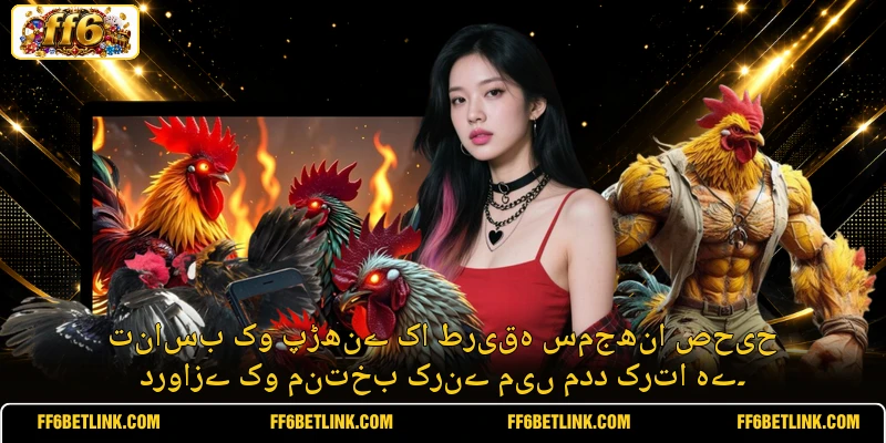 تناسب کو پڑھنے کا طریقہ سمجھنا صحیح دروازے کو منتخب کرنے میں مدد کرتا ہے۔